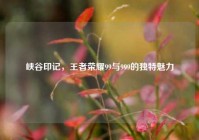 峡谷印记，王者荣耀99与999的独特魅力