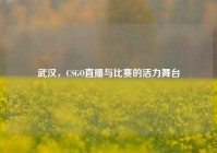 武汉，CSGO直播与比赛的活力舞台
