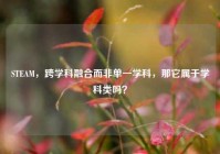 STEAM，跨学科融合而非单一学科，那它属于学科类吗？