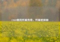CSGO里的歼星传奇，歼星枪探秘