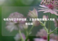 电竞与综艺奇妙碰撞，王者荣耀明星真人秀观看指南