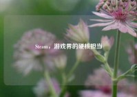 Steam，游戏界的硬核担当