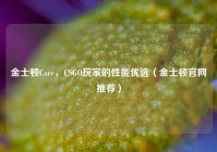 金士顿Core，CSGO玩家的性能优选（金士顿官网推荐）