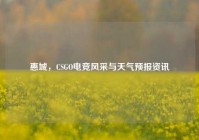 惠城，CSGO电竞风采与天气预报资讯