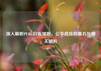 深入解析PUBG白板规则，公平竞技的基石与相关图片