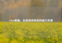 CSGO客服，玩家游戏体验的强力支撑