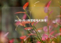 2022年6月CF阵营暗号大探寻