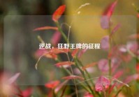 逆战，狂野王牌的征程