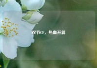 双节CF，热血开篇