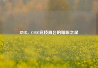 RMR，CSGO竞技舞台的耀眼之星