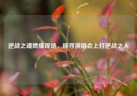逆战之魂燃爆现场，探寻演唱会上打逆战之人