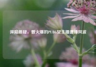 深陷质疑，曾火爆的PUBG女主播遭锤风波