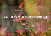 CSGO，妹子魅力引发的热血对战与枪械疑问