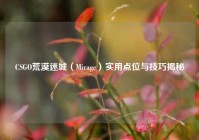 CSGO荒漠迷城（Mirage）实用点位与技巧揭秘