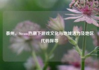 泰州，Steam热潮下游戏文化与地域活力及地区代码探寻