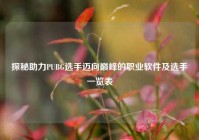 探秘助力PUBG选手迈向巅峰的职业软件及选手一览表