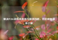 解决PUBG训练场黑屏与崩溃问题，开启顺畅训练之旅