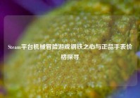 Steam平台机械冒险游戏钢铁之心与正品手表价格探寻