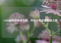 CSGO皮肤获取全攻略，开启个性装备解锁之路