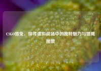 CSGO猎兔，探寻虚拟战场中的独特魅力与猎鹰图景