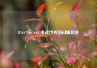 R1ch7在CS:GO电竞世界的闪耀轨迹