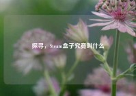 探寻，Steam盒子究竟叫什么