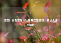 惊喜！王者荣耀体验服开启新征程，已加入含义解析