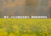 娘子、PUBG与周杰伦谱子，独特的游戏时光