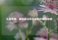 王者荣耀，揭秘最佳阵容搭配的制胜秘籍