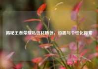 揭秘王者荣耀私信材质包，设置与个性化探索