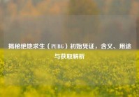 揭秘绝地求生（PUBG）初始凭证，含义、用途与获取解析