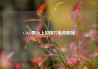 CSGO舞台上闪耀的电竞鹅妹
