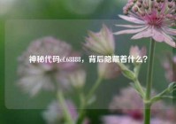 神秘代码cf.68888，背后隐藏着什么？
