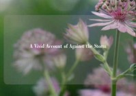 A Vivid Account of Against the Storm