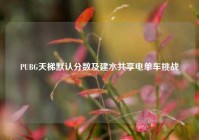 PUBG天梯默认分数及建水共享电单车挑战