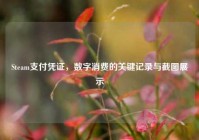 Steam支付凭证，数字消费的关键记录与截图展示