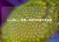 Steam卖Key，机遇、风险与行业生态剖析