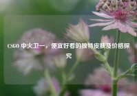 CSGO 中火卫一，便宜好看的独特皮肤及价格探究