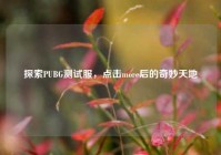 探索PUBG测试服，点击more后的奇妙天地