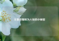 王者荣耀鲜为人知的小秘密