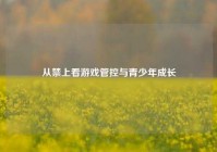 从禁上看游戏管控与青少年成长