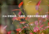 PUBG 好看皮肤，与壁纸、动漫交织的视觉盛宴