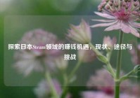 探索日本Steam领域的赚钱机遇，现状、途径与挑战