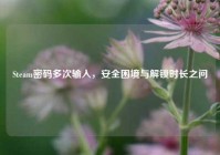 Steam密码多次输入，安全困境与解锁时长之问