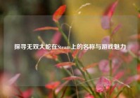 探寻无双大蛇在Steam上的名称与游戏魅力