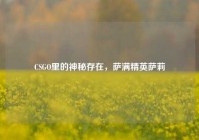 CSGO里的神秘存在，萨满精英萨莉