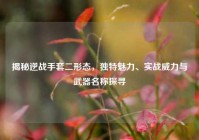 揭秘逆战手套二形态，独特魅力、实战威力与武器名称探寻