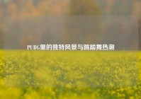 PUBG里的独特风景与踢踏舞热潮