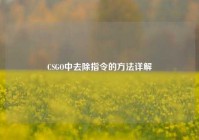 CSGO中去除指令的方法详解
