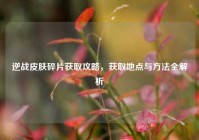 逆战皮肤碎片获取攻略，获取地点与方法全解析